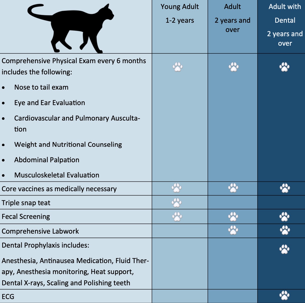 Cat Wellness Plan 