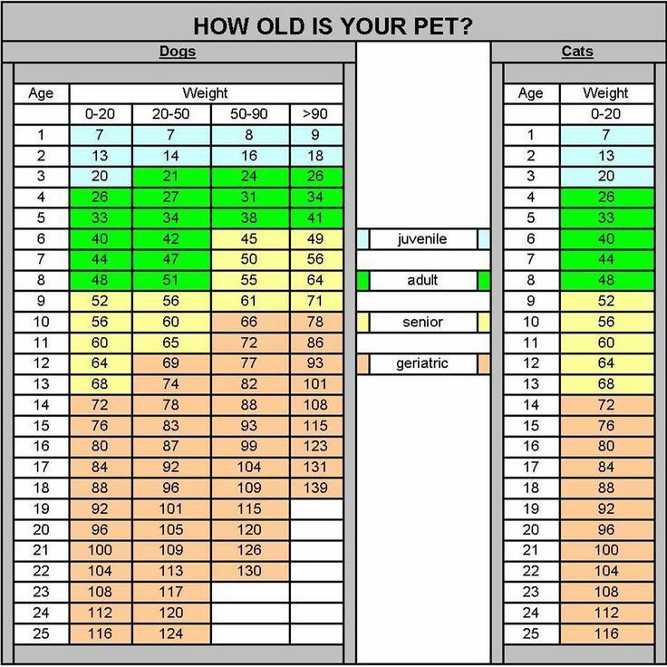 dog-cat-weight-age-chart