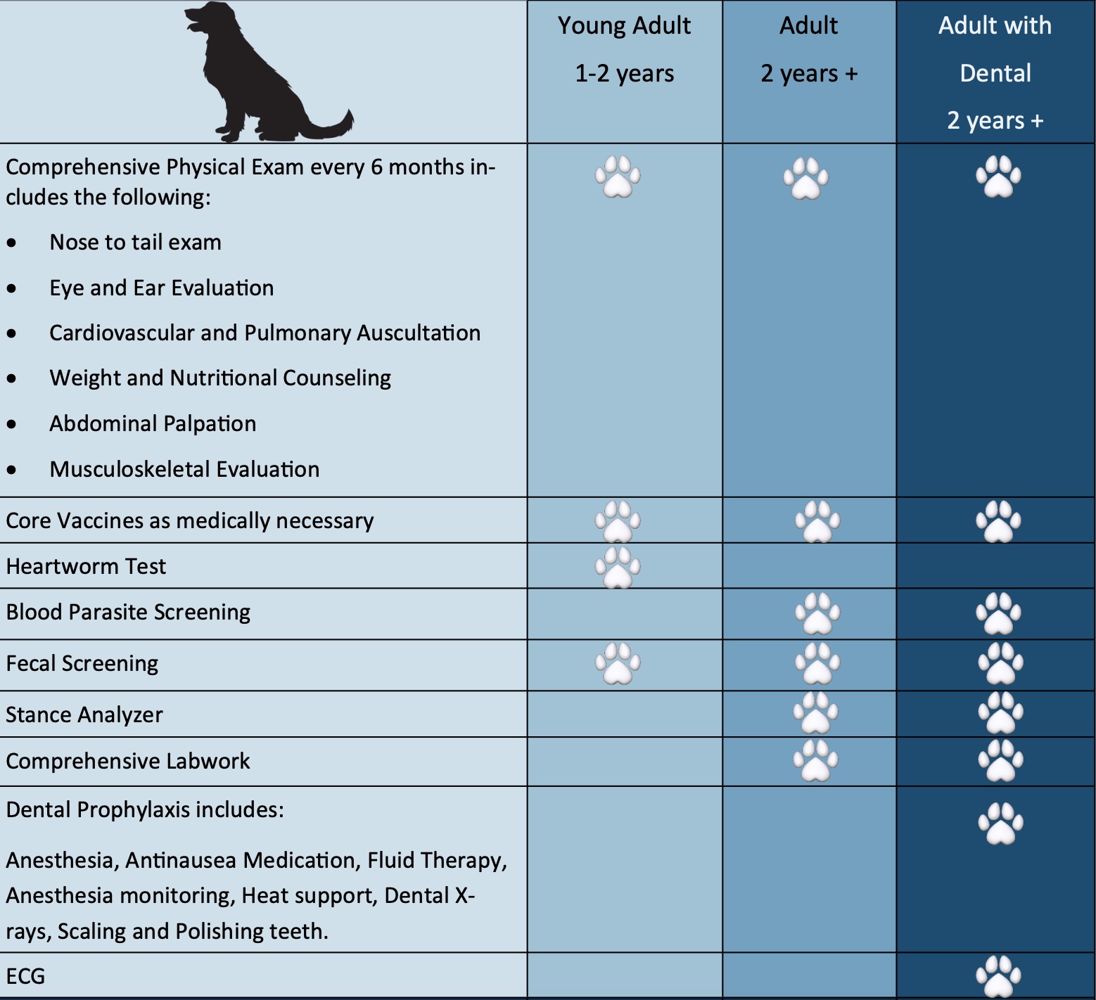 Dog Wellness Plan 